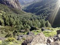 Ausflge in die Natur